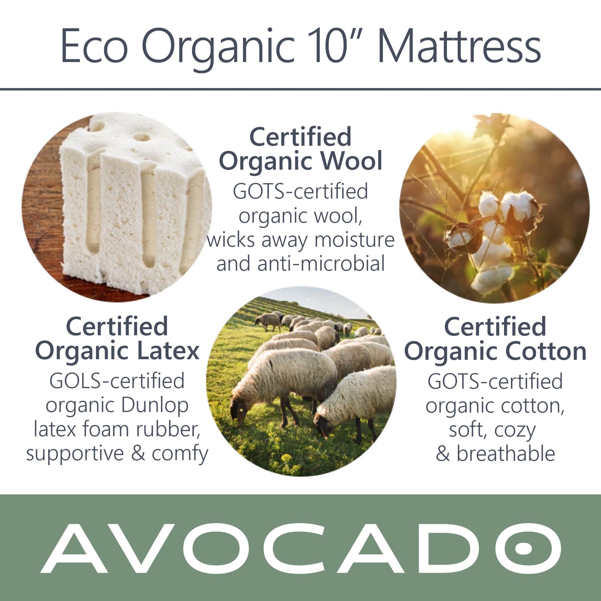 A picture of the 3 main materials inside of the Avocado Crib Mattress. Certified organic wool - GOTS certified organic wool, wicks away moisture and anti-microbial. Certified organic Latex - GOLS certified organic Dunlop latex foam rubber, supportive, and comfy. Certified organic cotton - GOTS certified organic cotton, soft, cozy, and breathable.