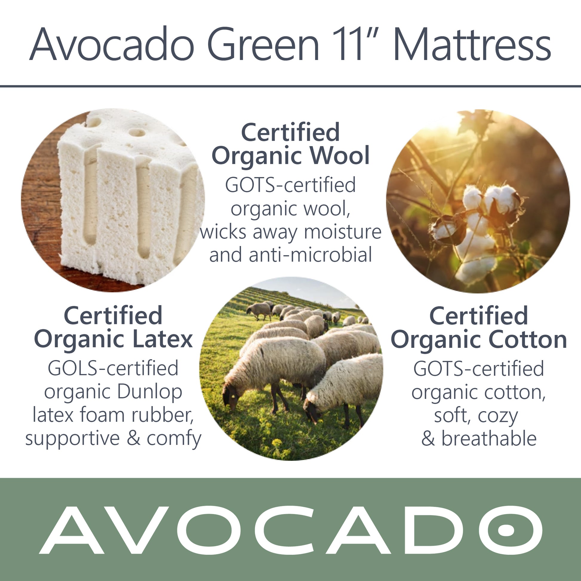 A picture of the 3 main materials inside of the Avocado Green 11" Mattress. Certified organic wool - GOTS certified organic wool, wicks away moisture and anti-microbial. Certified organic Latex - GOLS certified organic Dunlop latex foam rubber, supportive, and comfy. Certified organic cotton - GOTS certified organic cotton, soft, cozy, and breathable.