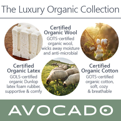 Avocado Luxury Organic 15" Pillowtop